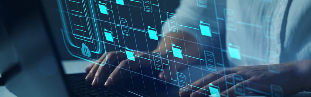 Data Governance as Risk Mitigation